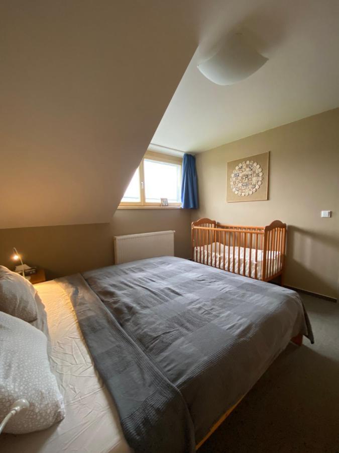 Apartmán Rodinny V Srdci Sumavy